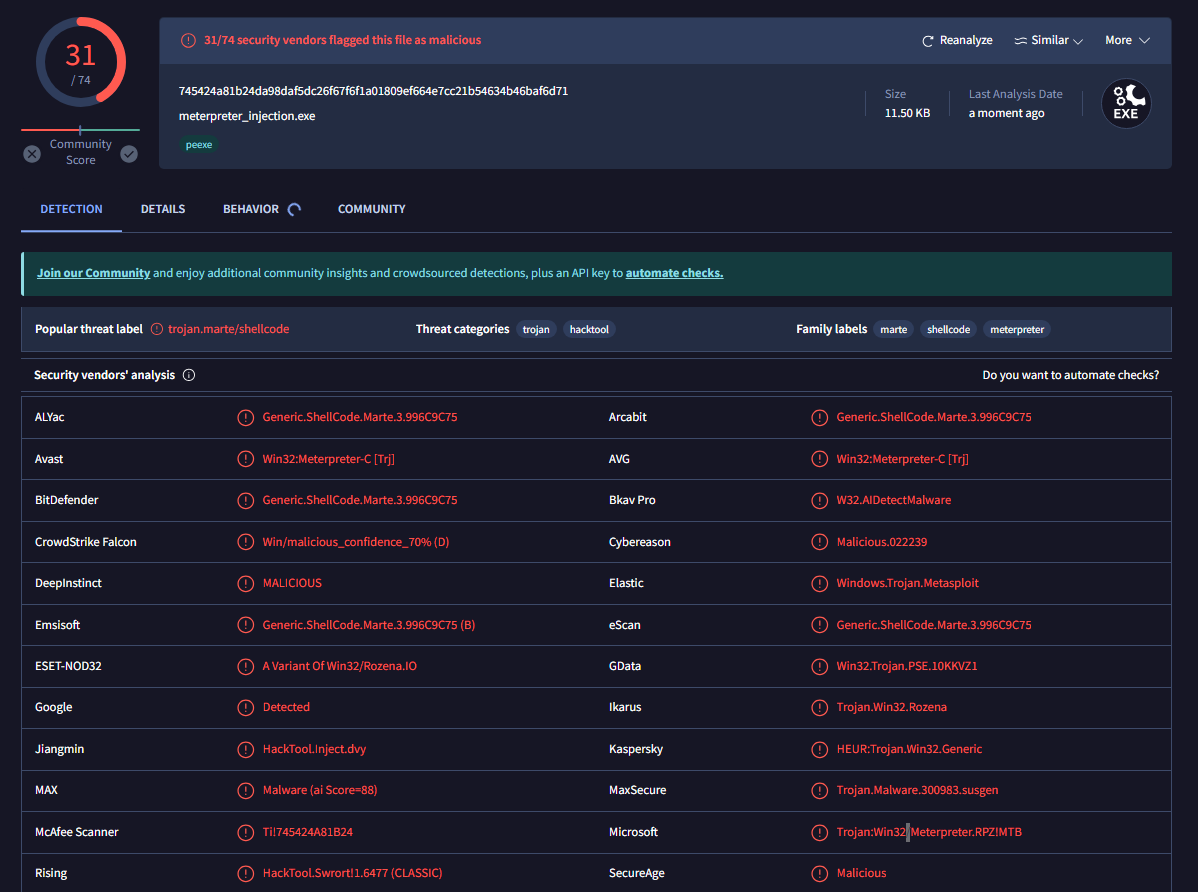 Созданный нами шаблон с шеллкодом